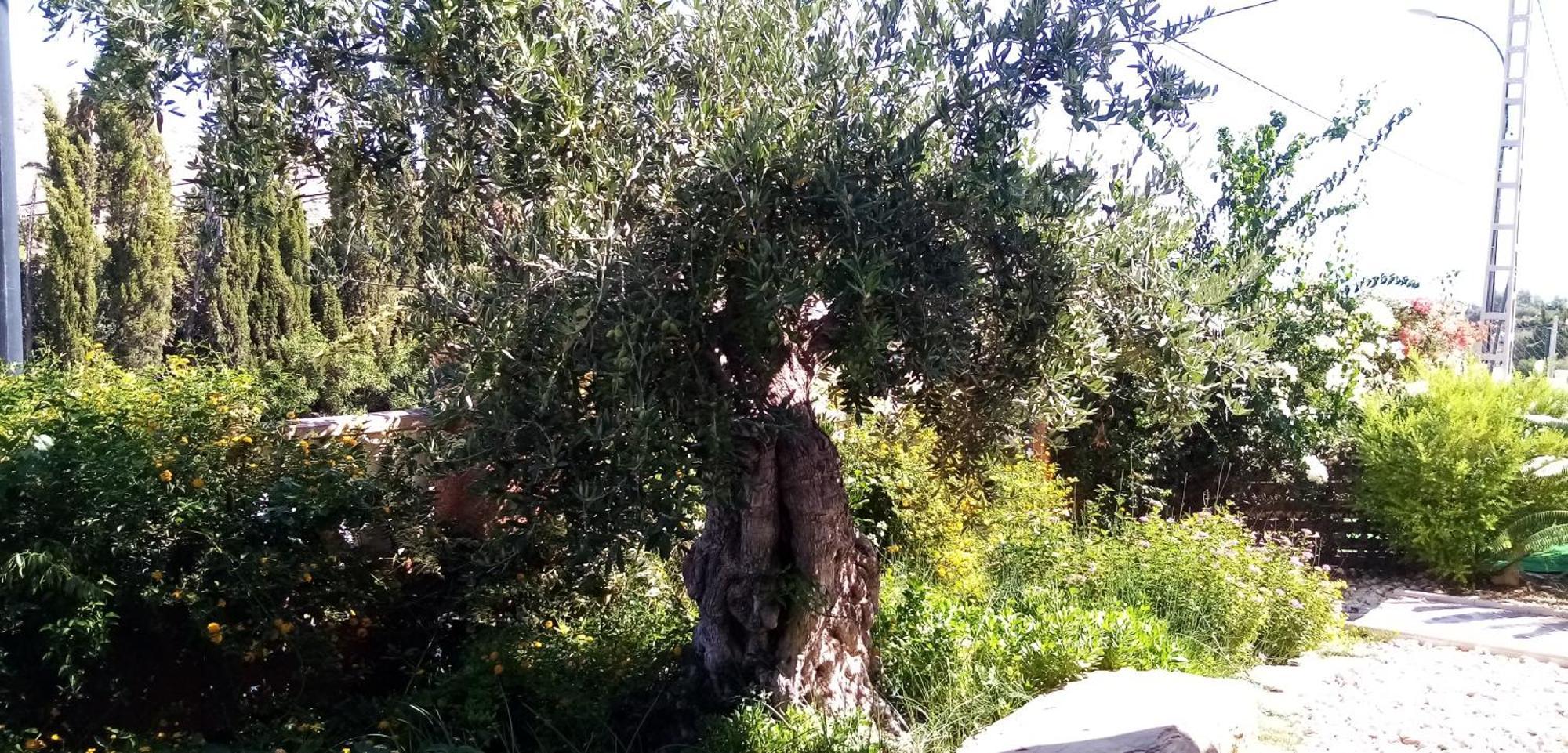 Villa Casa Kenaz El Campello Zewnętrze zdjęcie
