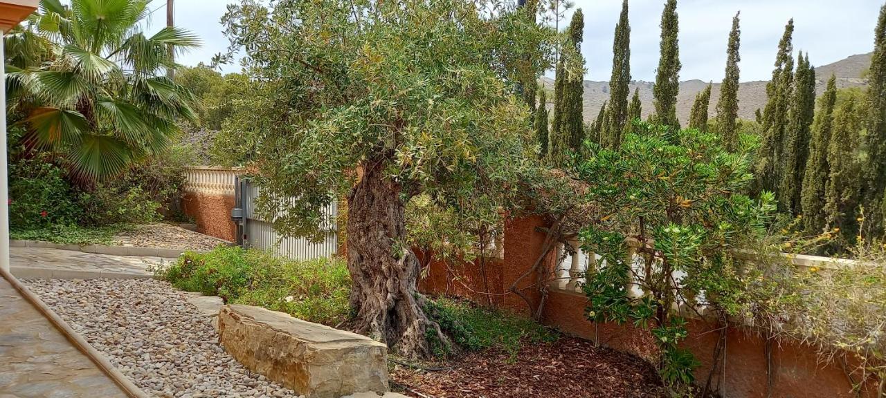 Villa Casa Kenaz El Campello Zewnętrze zdjęcie